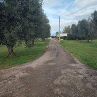 Terreno agricolo edificabile