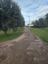 Terreno agricolo edificabile