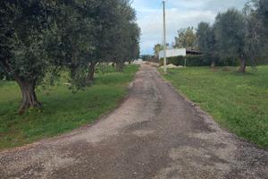 Terreno agricolo edificabile