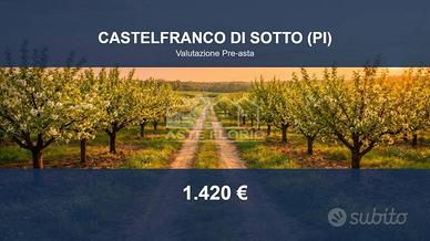 Immobile in asta di 4570 m² a Castelfranco di Sott