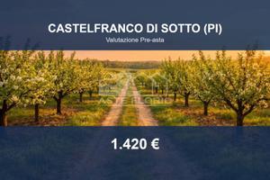 Immobile in asta di 4570 m² a Castelfranco di Sott