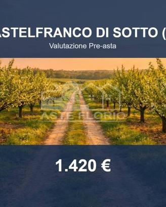 Immobile in asta di 4570 m² a Castelfranco di Sott