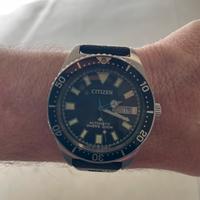 Citizen promaster automatic divers
