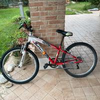 Mtb biciclette