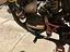 Immagine 5