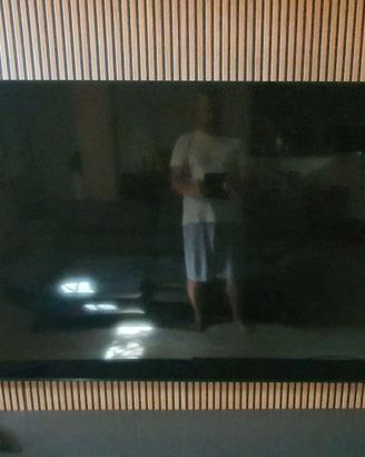 TV Samsung 75 pollici pezzi ricambio