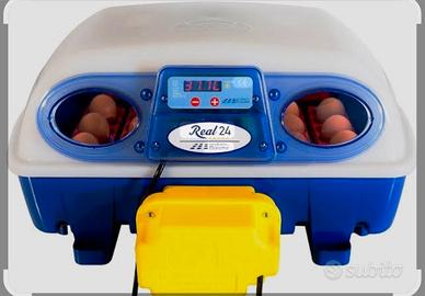 incubatrice borotto real 24 automatica
