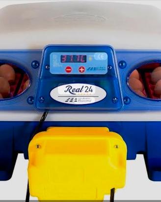 incubatrice borotto real 24 automatica