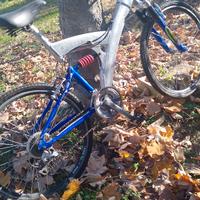 bici marca bottechia