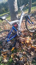 bici marca bottechia