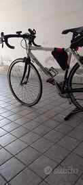 Bici Da corsa Pepino Bici Cuneo
