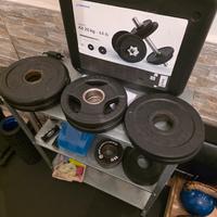 microcarichi palestra 