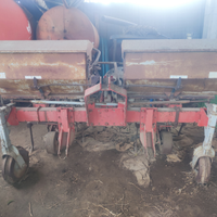 Sarchiatrice Badalini