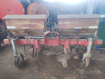 Sarchiatrice Badalini