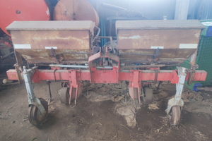 Sarchiatrice Badalini