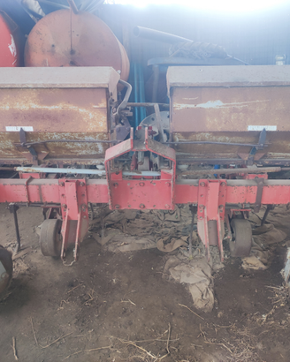 Sarchiatrice Badalini