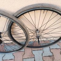 Ruote bici 28 profilo alto