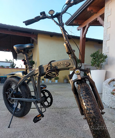 bicicletta elettrica