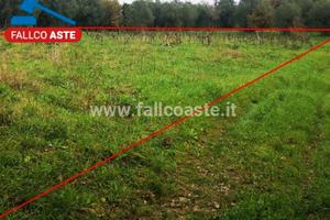 TRIBUNALE DI SALERNO - RG 155/2019 Terreni in asta
