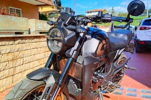 Zontes GK350 2023 – Nera/Oro – A2 – Roma 