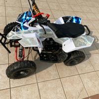 Mini quad