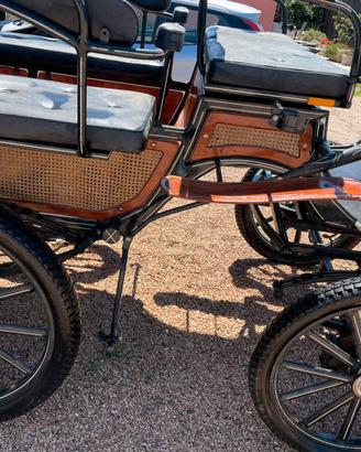 Carrozza pe cerimonie e passeggio