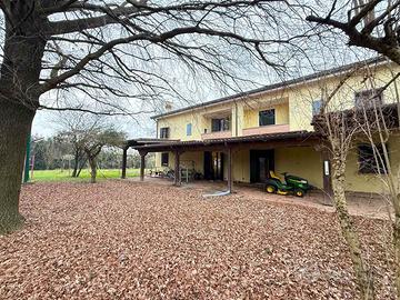 Olmo di martellago, bivilla intera