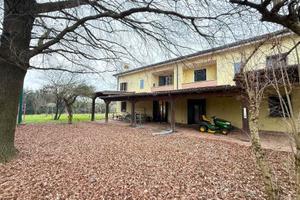 Olmo di martellago, bivilla intera