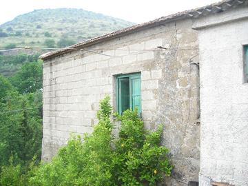 Rustico e terreno con ulivi