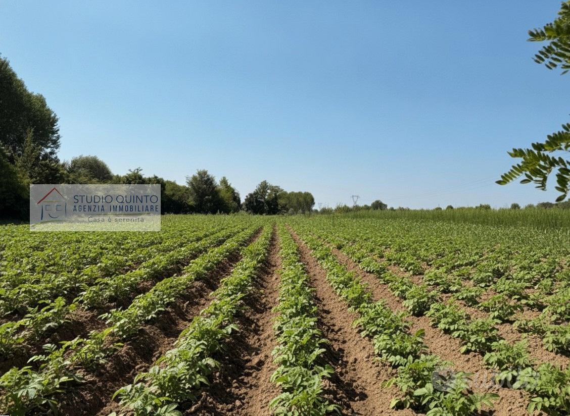 Terreno agricolo di mq. 4520 ca - Vista 5