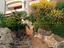 Immagine 12