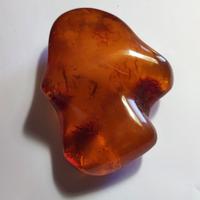 Antica ambra baltica naturale non trattata
