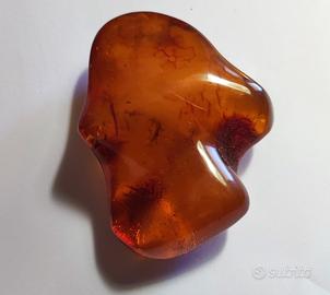 Antica ambra baltica naturale non trattata