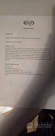 Climatizzatore portatile ( locale )