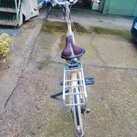 Bici pedalata assistita