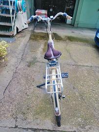 Bici pedalata assistita