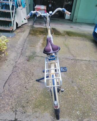 Bici pedalata assistita