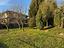Immagine 25