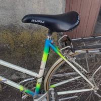 Bicicletta da passeggio