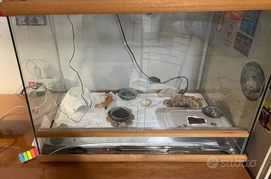 Terrario per rettili