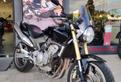 Honda Hornet 600 08/2006 UNICO PROPRIETARIO