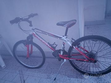 Bicicletta