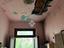 Immagine 29