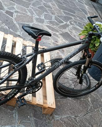 bicicletta Galetti da ragazzo