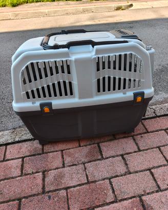 Box per trasporto animali