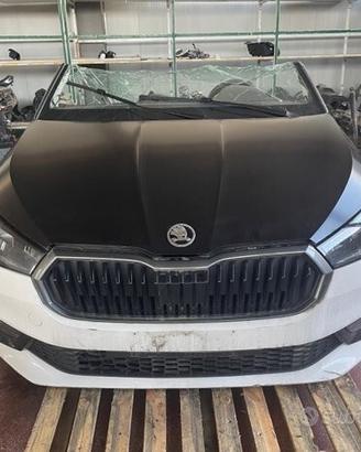 Ricambi Skoda Fabia 2023 Meccanica