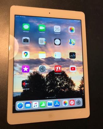 Ipad air 1 apple