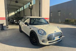 Mini 1.5 One D Hype