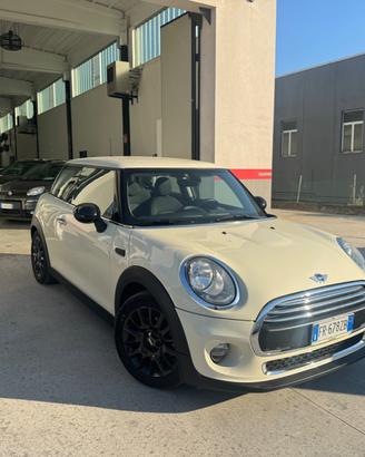 Mini 1.5 One D Hype