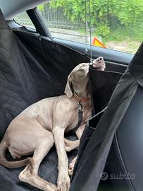 Coprisedile per cane per Tesla Model 3/Y/S